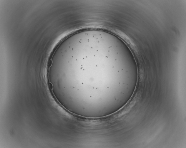 X0000113021334200908271025