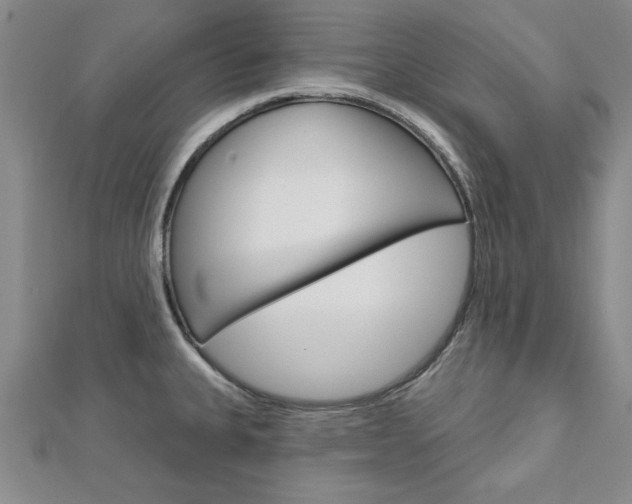 X0000113021335200908271025
