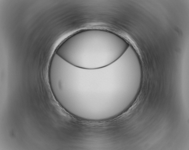 X0000113021336200908271025