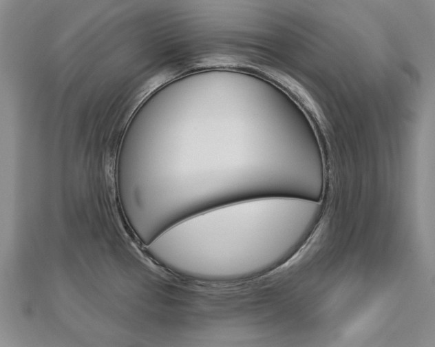 X0000113021337200908271025