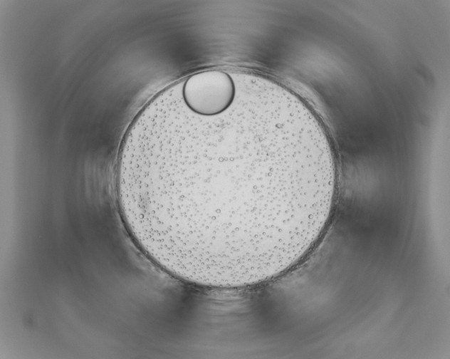 X0000113021338200908271025