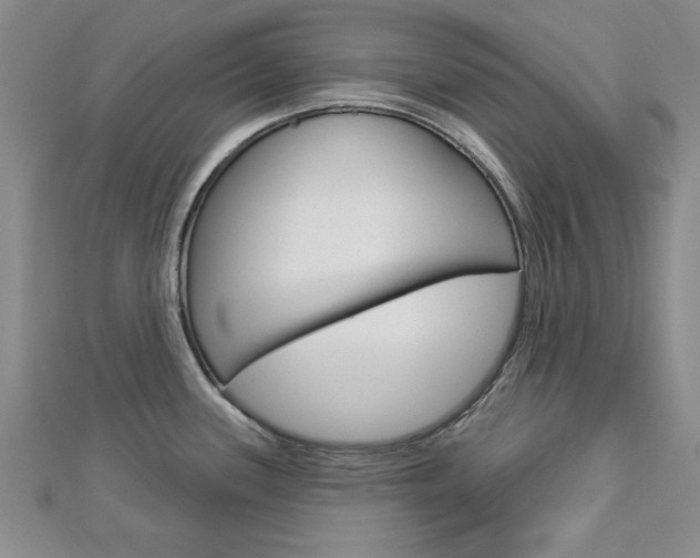 X0000113021339200908271025