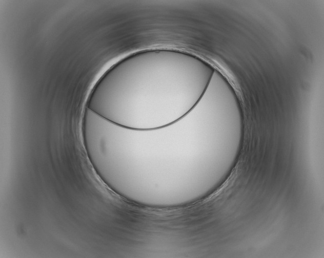 X0000113021340200908271025