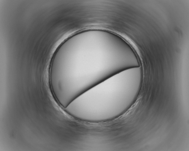 X0000113021341200908271025