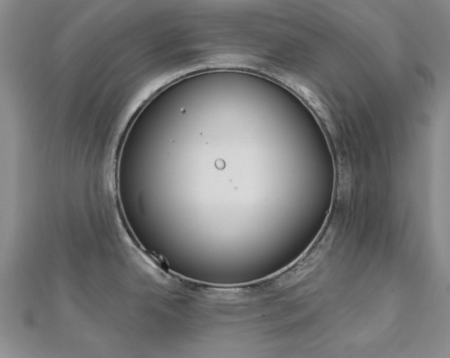 X0000113021342200908271025