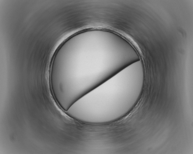 X0000113021343200908271025
