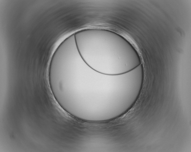 X0000113021344200908271025