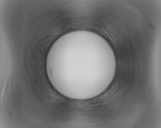 X0000113021345200908271025