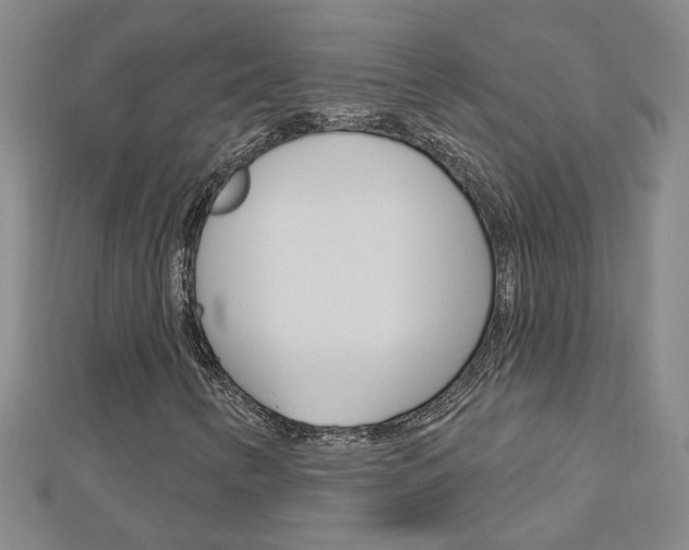 X0000113021346200908271025