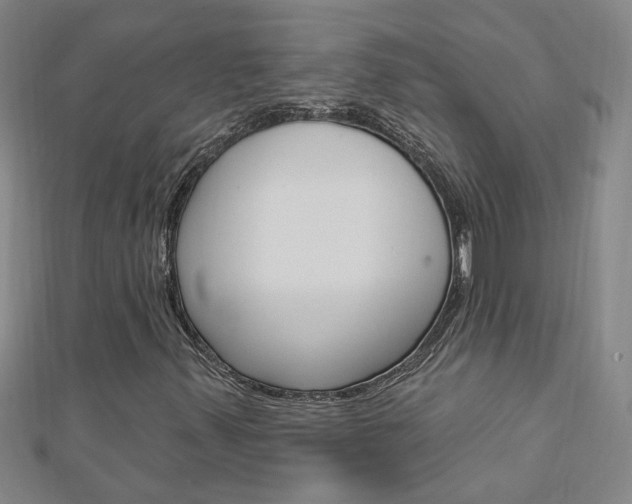 X0000113021347200908271025