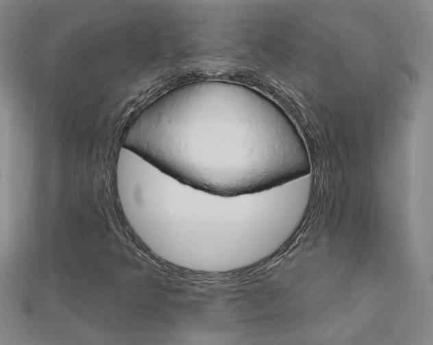 X0000113021349200908271025