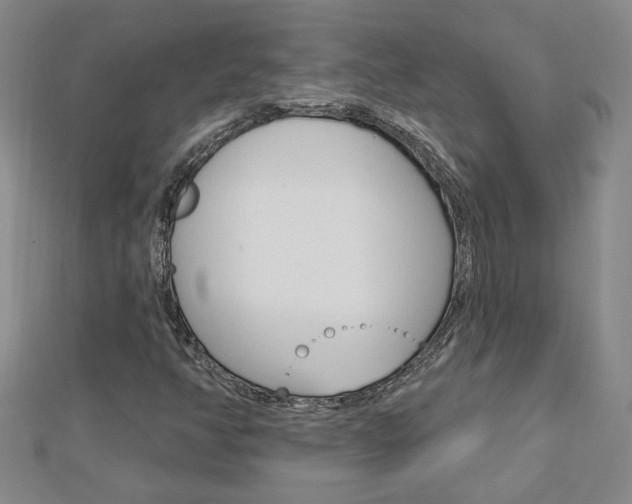 X0000113021350200908271025