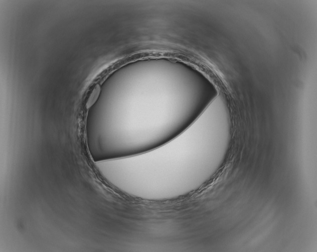 X0000113021352200908271024