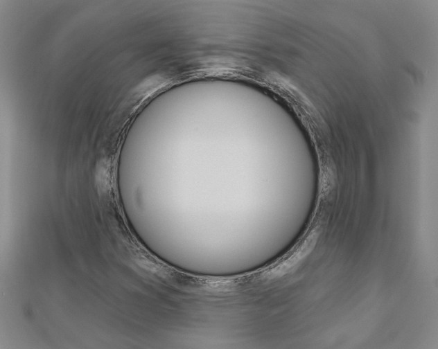 X0000113021353200908271024