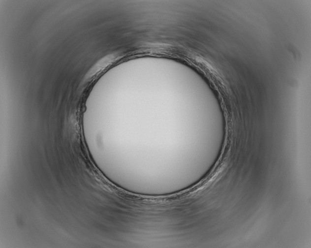 X0000113021354200908271024