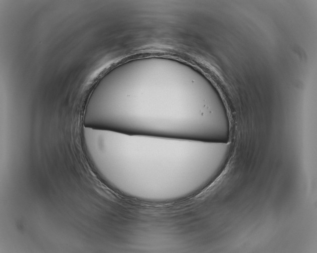 X0000113021355200908271024