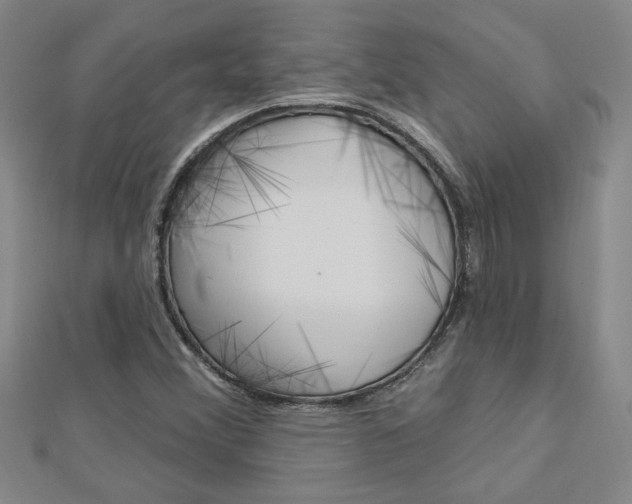 X0000113021356200908271024