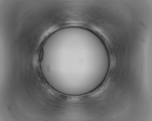 X0000113021357200908271024