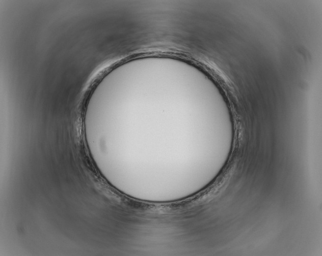 X0000113021358200908271024