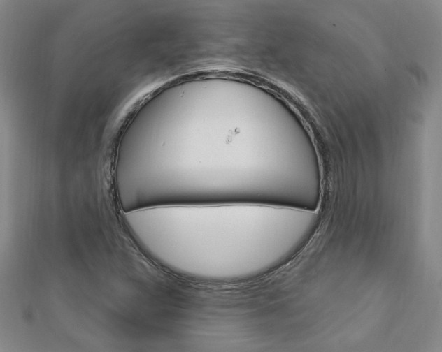X0000113021359200908271024
