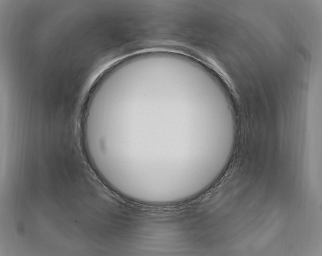 X0000113021360200908271024