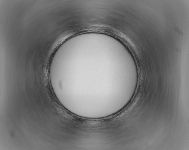 X0000113021362200908271024