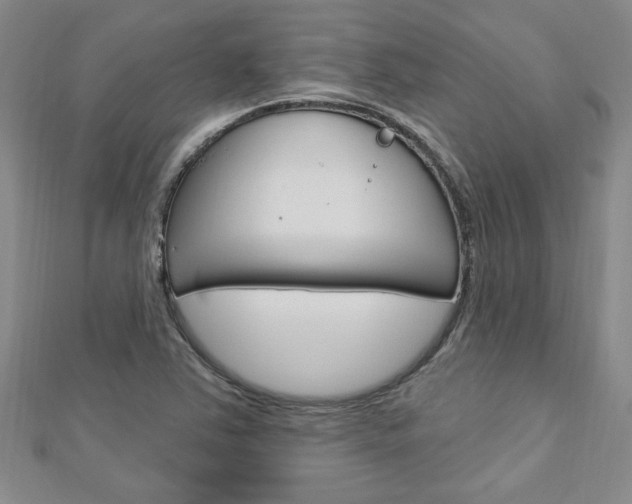 X0000113021363200908271024