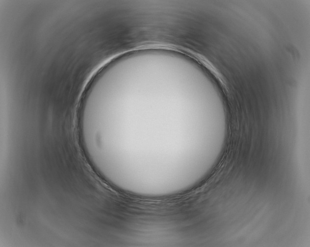 X0000113021364200908271024