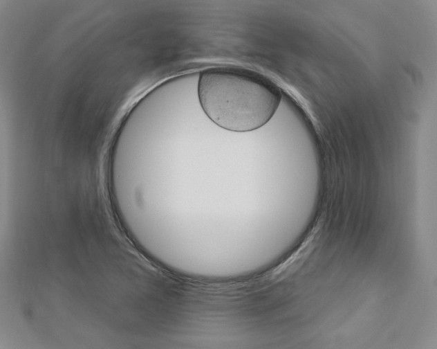 X0000113021365200908271024