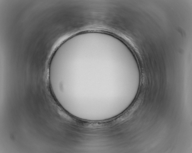 X0000113021366200908271024