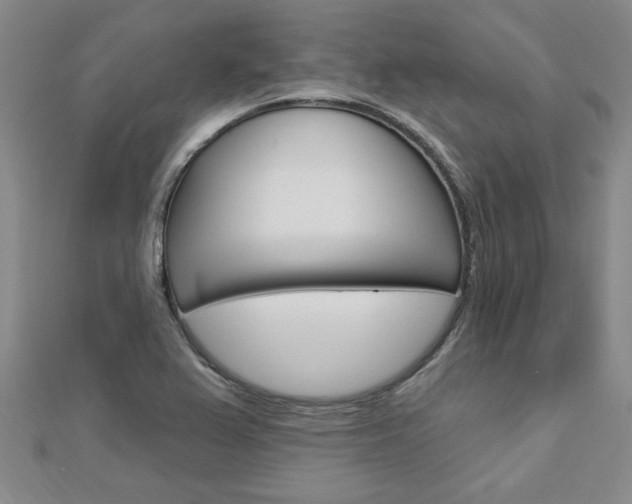 X0000113021367200908271024