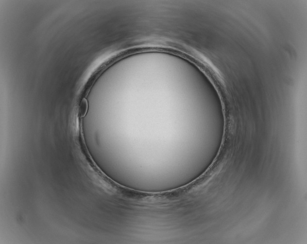 X0000113021368200908271024