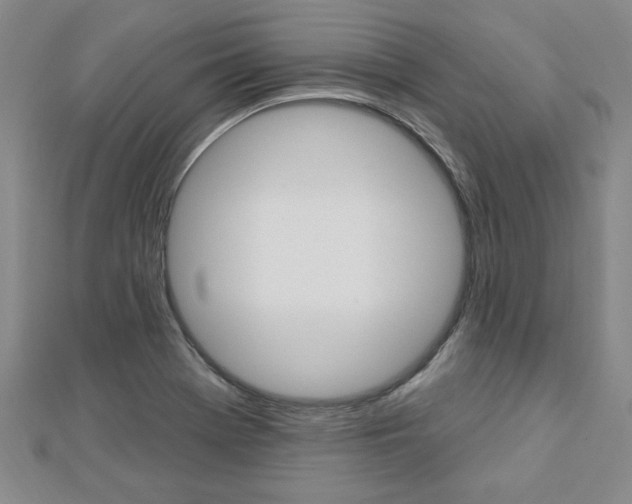 X0000113021369200908271024