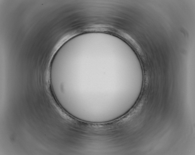 X0000113021370200908271024