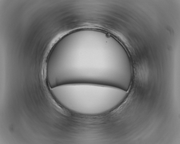X0000113021371200908271024