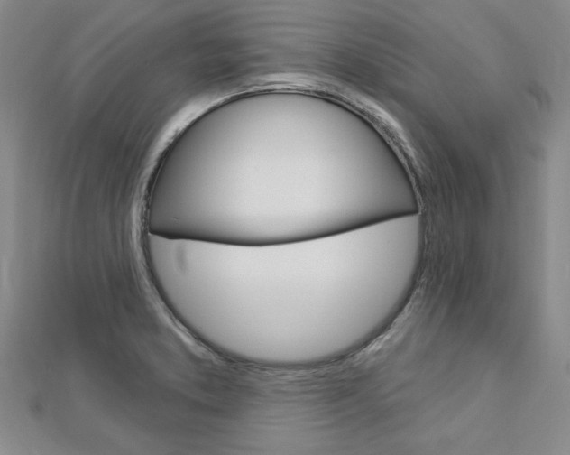 X0000113021373200908271024