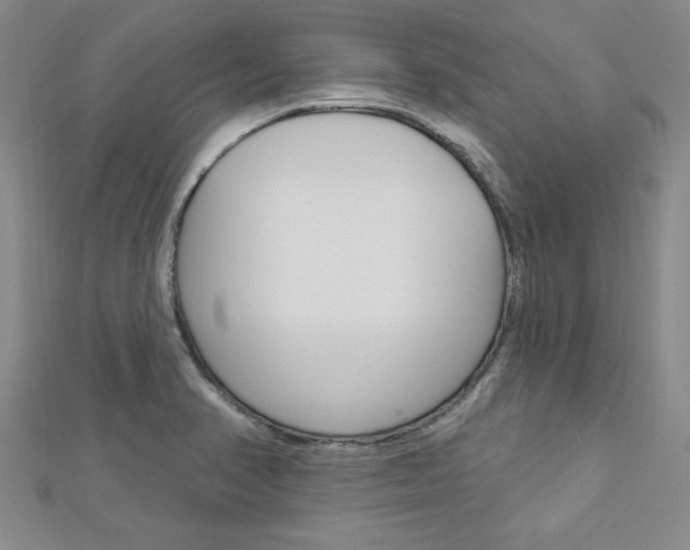 X0000113021374200908271024