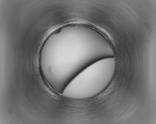 X0000113021375200908271024