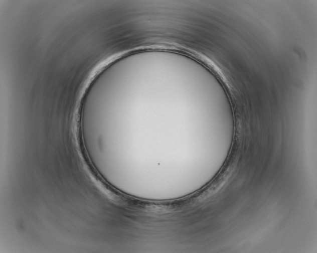 X0000113021379200908271024
