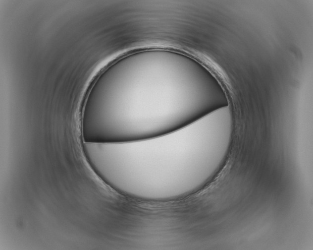 X0000113021380200908271024
