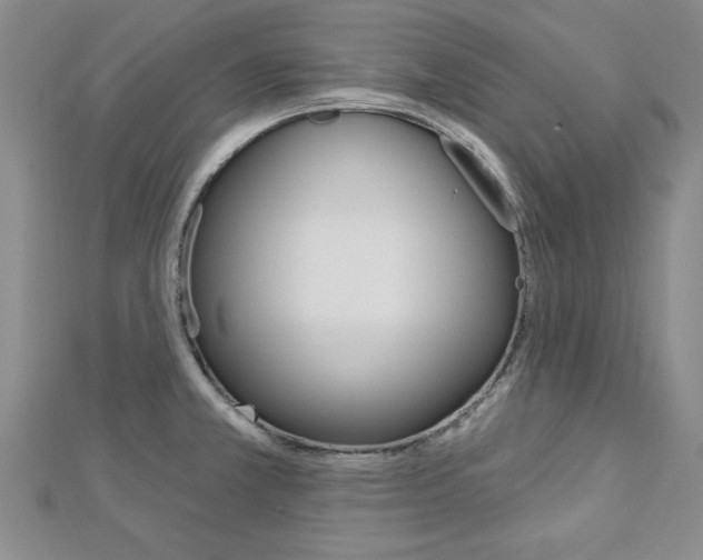 X0000113021381200908271024