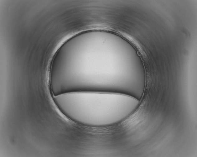 X0000113021383200908271024