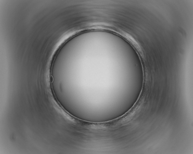 X0000113021384200908271024