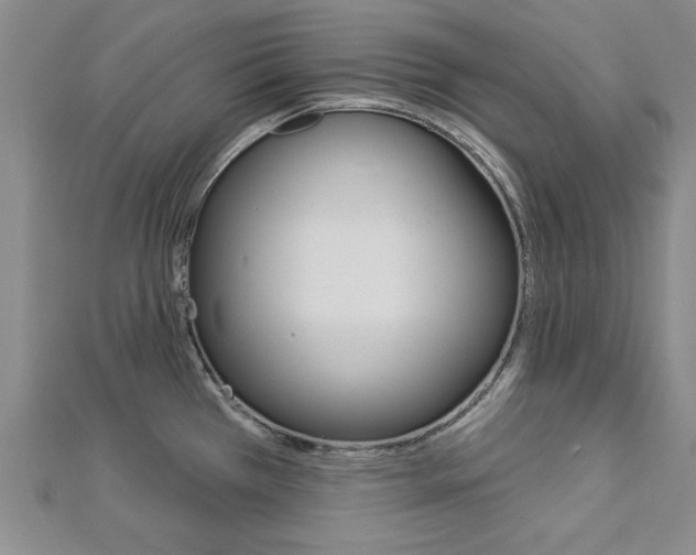 X0000113021385200908271024