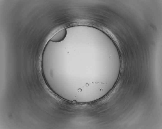 X0000113021386200908271024