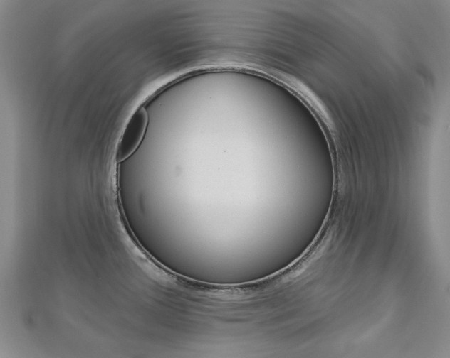 X0000113021388200908271024