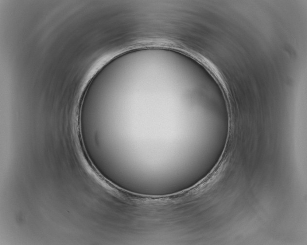 X0000113021389200908271024