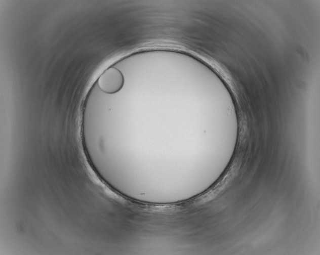 X0000113021390200908271024