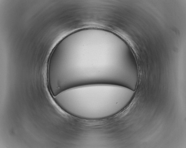 X0000113021391200908271024