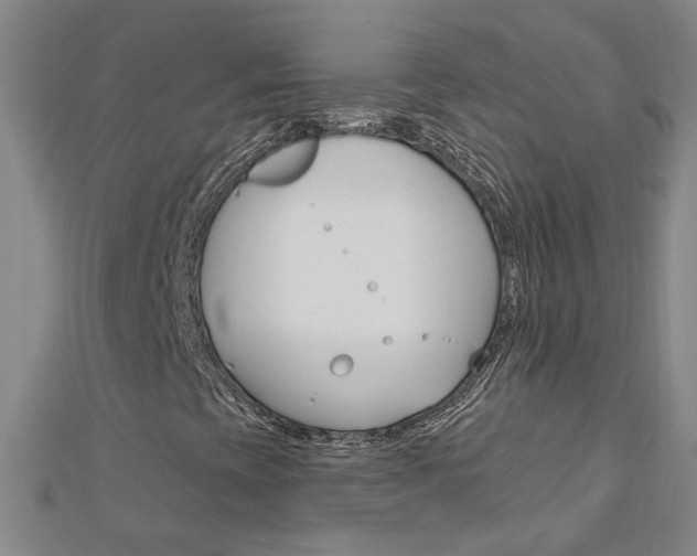 X0000113021393200908271023